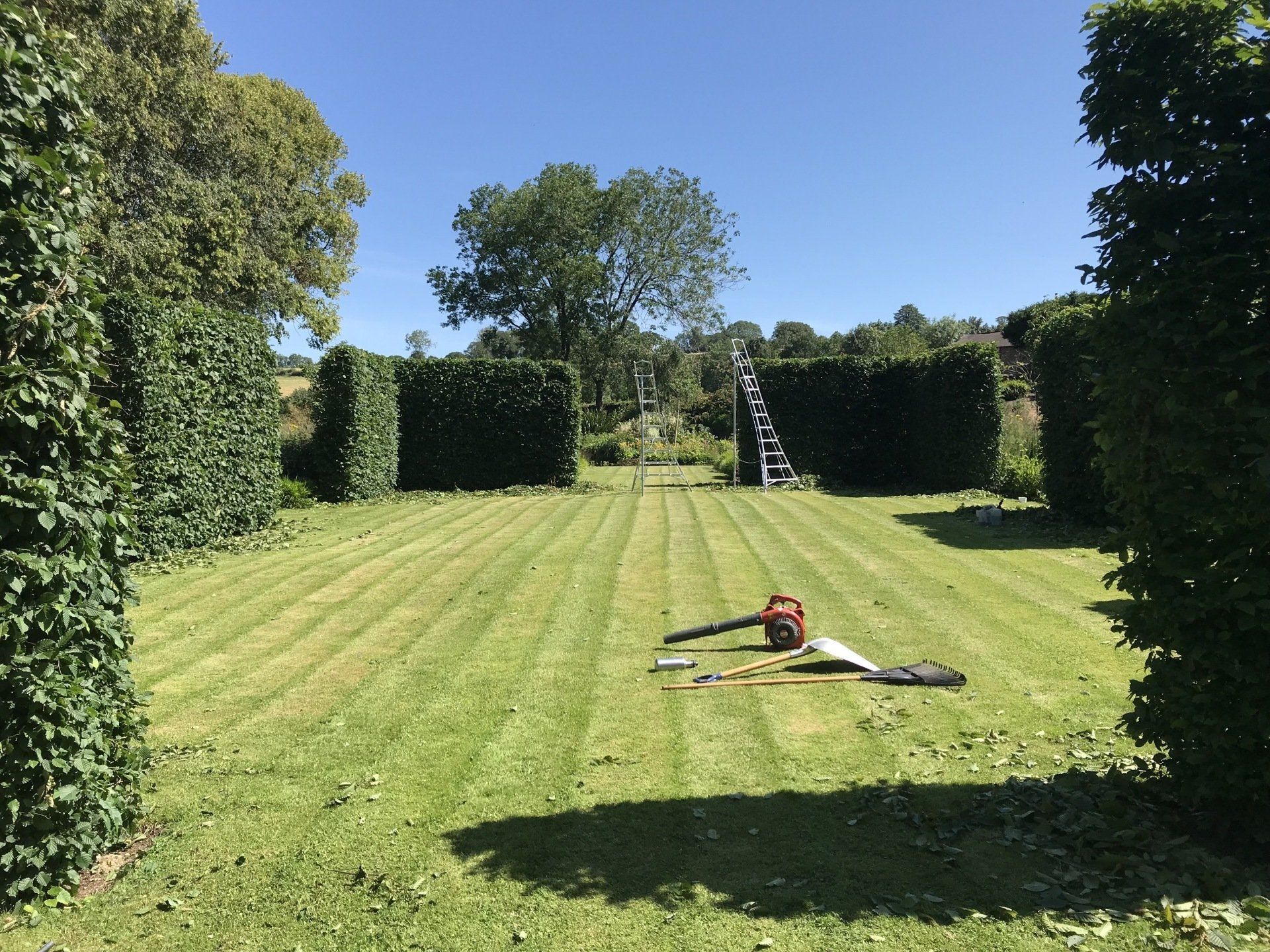 Countrywise Tree Care 6