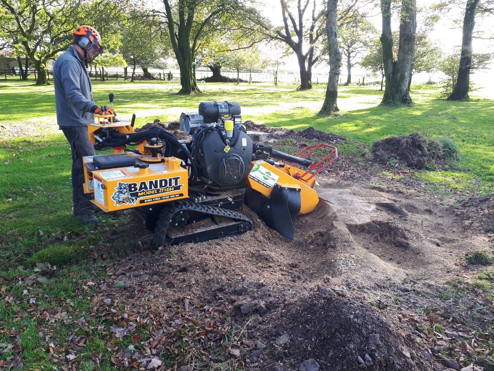 Tree pruning