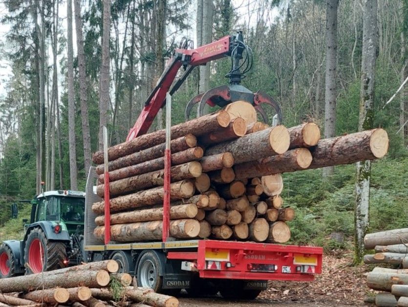Ein Sattelschlepper mit Kran lädt Baumstämme in einem Wald.
