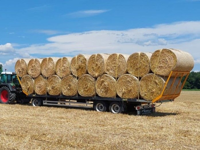 Ein Traktor zieht einen mit runden Heuballen beladenen Anhänger auf einem abgeernteten Feld unter blauem Himmel.