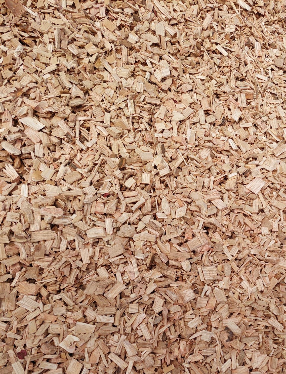 Ein Haufen hellbrauner Holzspäne, wahrscheinlich als Mulch oder für die Gartengestaltung gedacht.