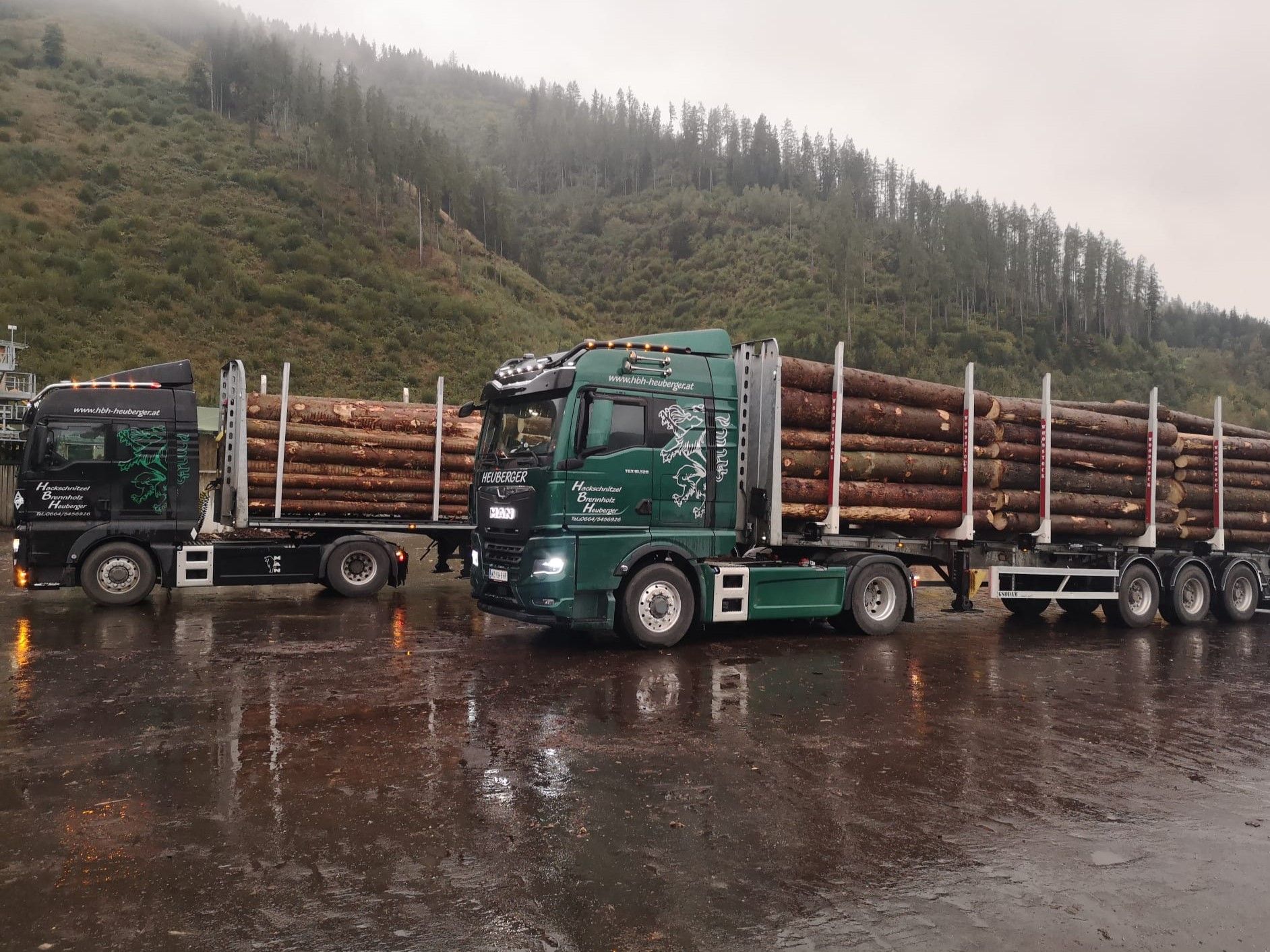 Zwei grüne Sattelschlepper, beladen mit Baumstämmen, geparkt auf einer nassen Fläche vor einem Hang.