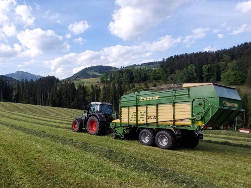 Traktor mit grünem Futterwagen erntet Gras auf einem Feld vor der Bergkulisse.