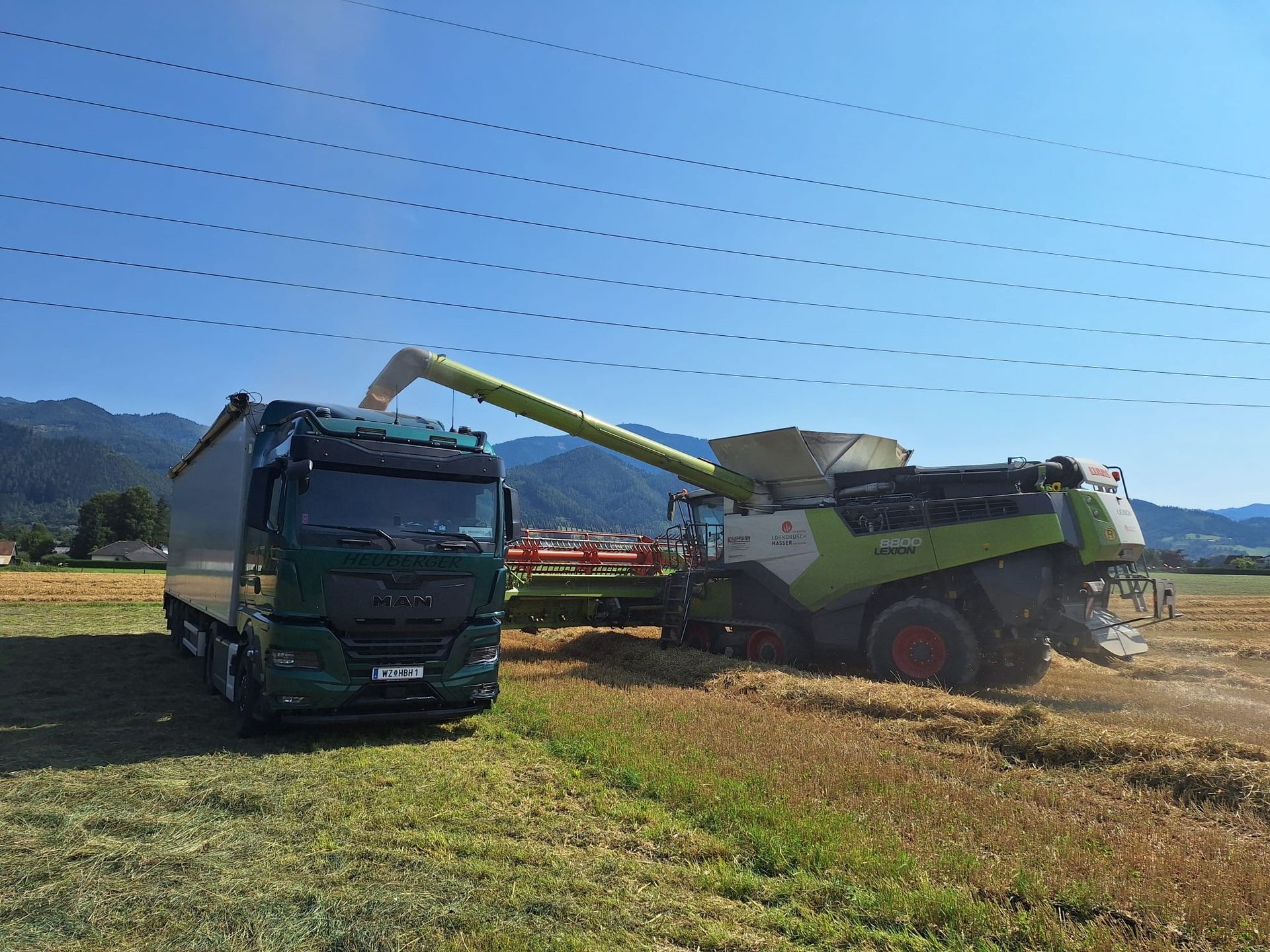 Mähdrescher entlädt Getreide in einen grünen Sattelschlepper auf einem Feld unter blauem Himmel.