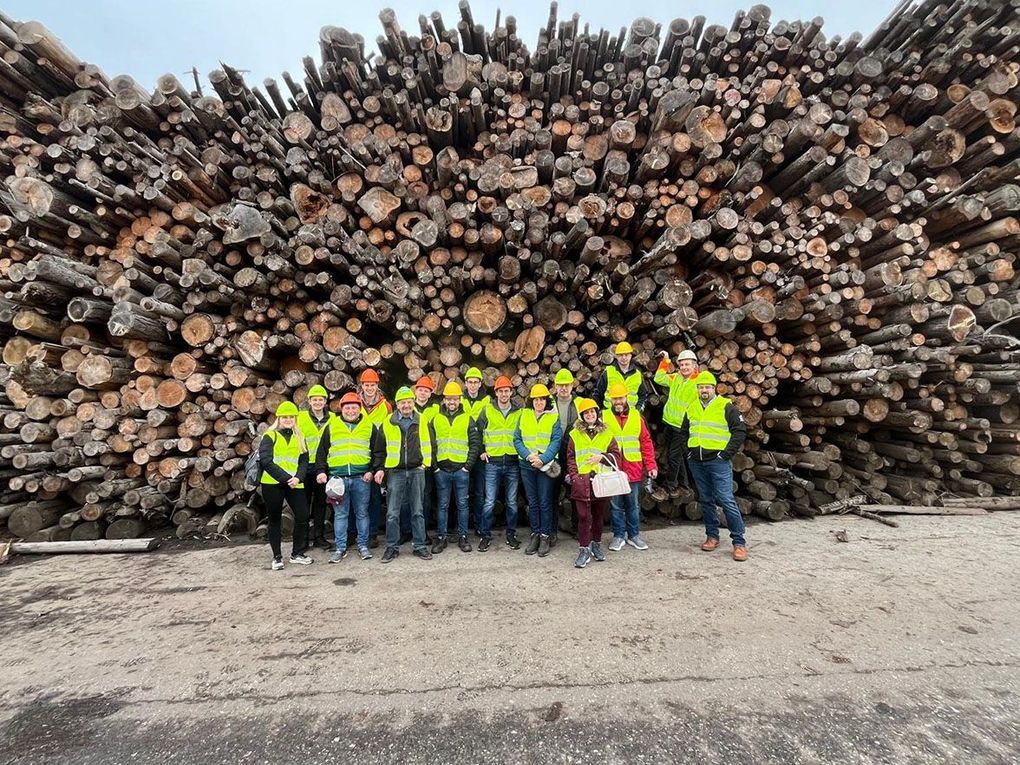 Eine Gruppe in Sicherheitswesten steht vor einem großen Stapel Holzscheite.
