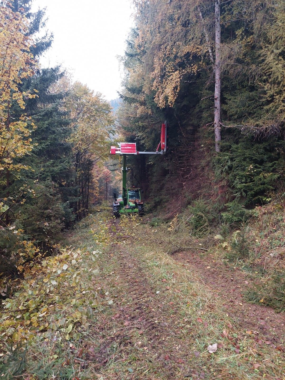 Eine grüne Forstmaschine mit einer roten Plattform auf einem Feldweg in einem Wald.