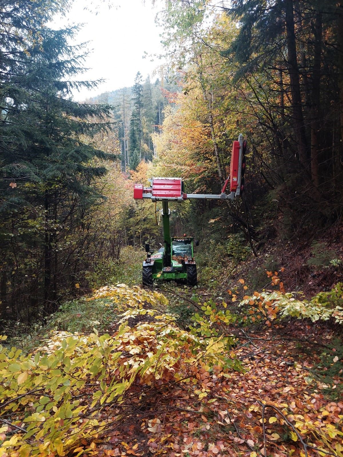 Grüne Maschine mit rotem Arm räumt einen Weg in einem Wald frei.