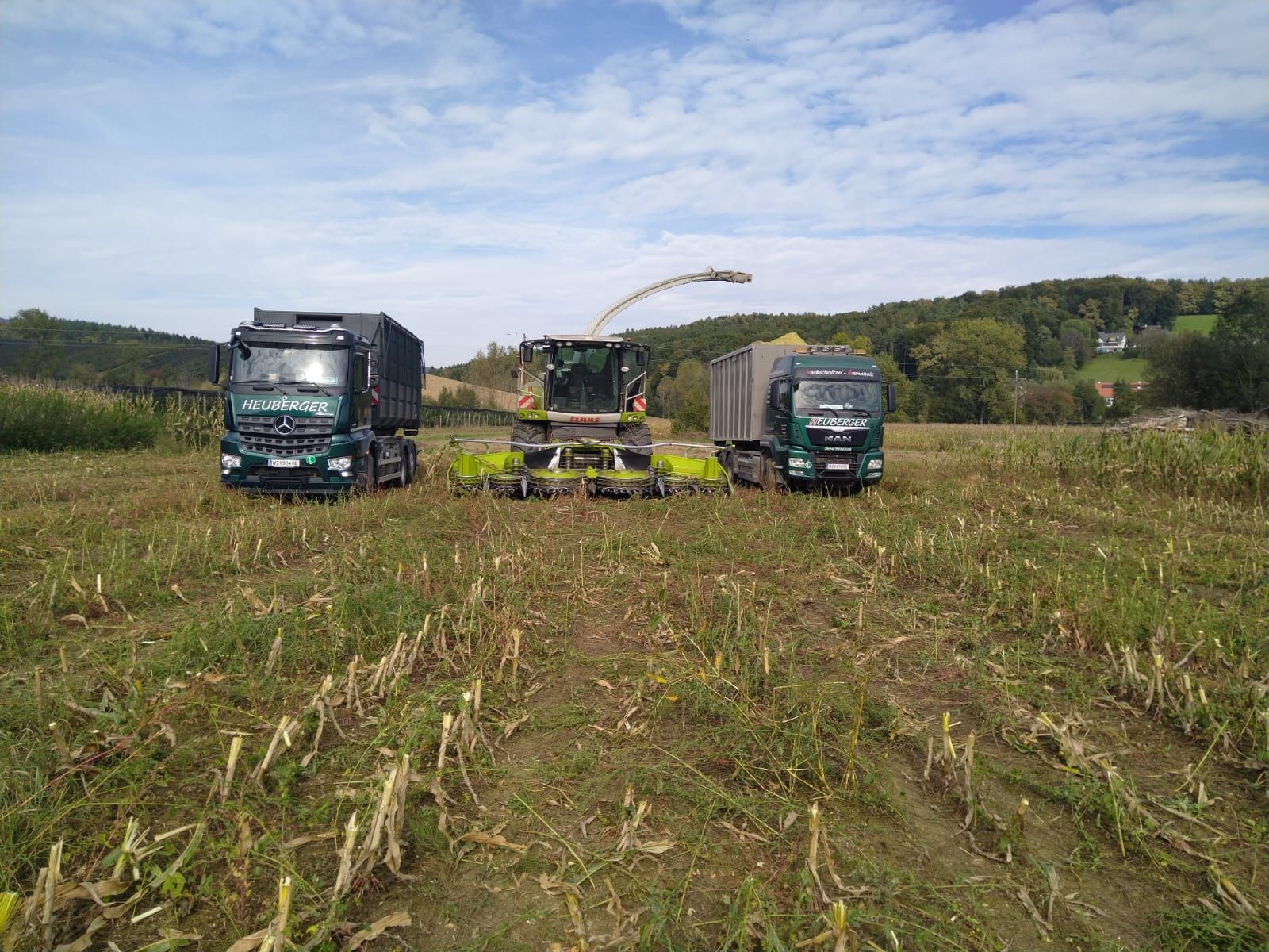 Ein Mähdrescher erntet Mais auf einem Feld unter blauem Himmel, neben ihm stehen zwei Lastwagen.