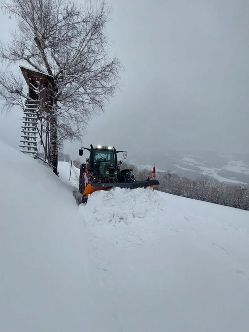 Ein Traktor räumt Schnee an einem Hang neben einem Baum mit einem Hochsitz. Bewölkter Himmel.