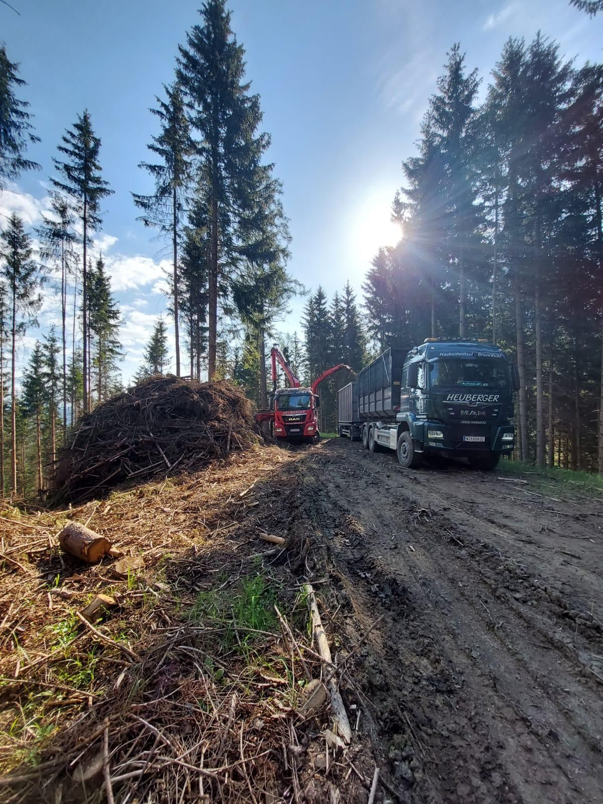 Holzfällarbeiten in einem Wald: ein Lastwagen, ein Kran und ein Haufen Äste auf einem schlammigen Weg.