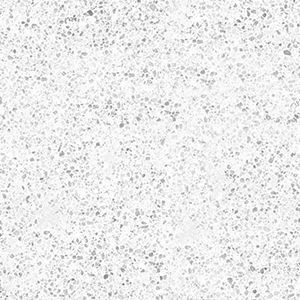 Light gray speckled texture with scattered dark flecks