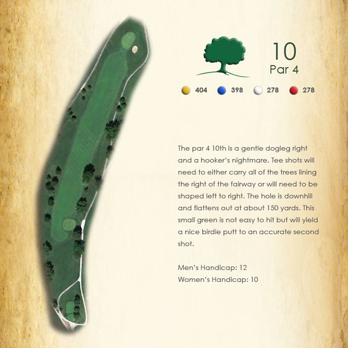 A picture of a golf course with the number 10 on it