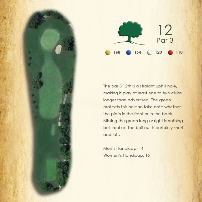 A picture of a golf course with the number 12 on it