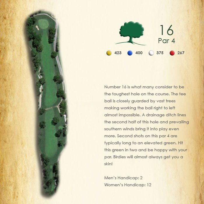 A picture of a golf course with the number 16 on it