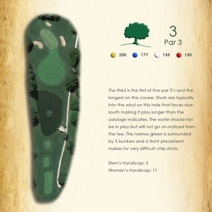 A picture of a golf course with the number 3 on it