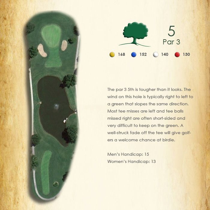 A picture of a golf course with the number 5 on it