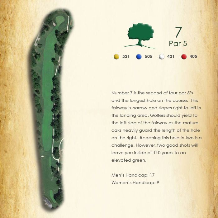 A picture of a golf course with the number 7 on it
