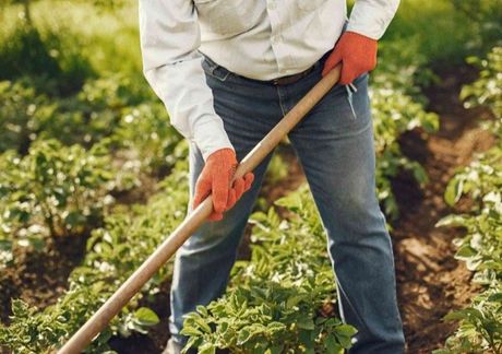 langley lawn care langley BC