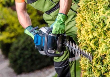garden maintenance langley BC