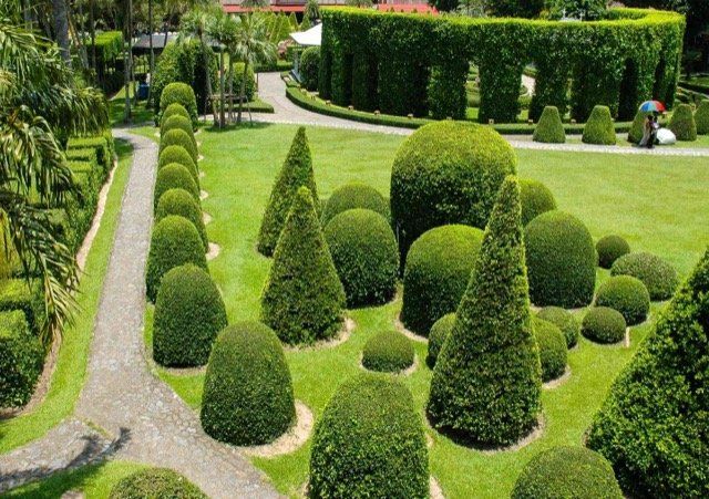 lawn contractors langley BC