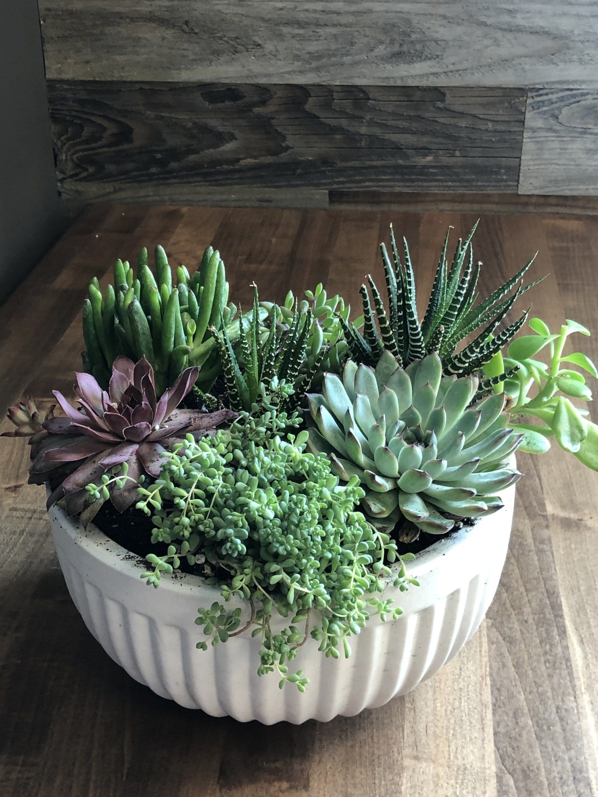 A white bowl filled with succulents is sitting on a wooden table.