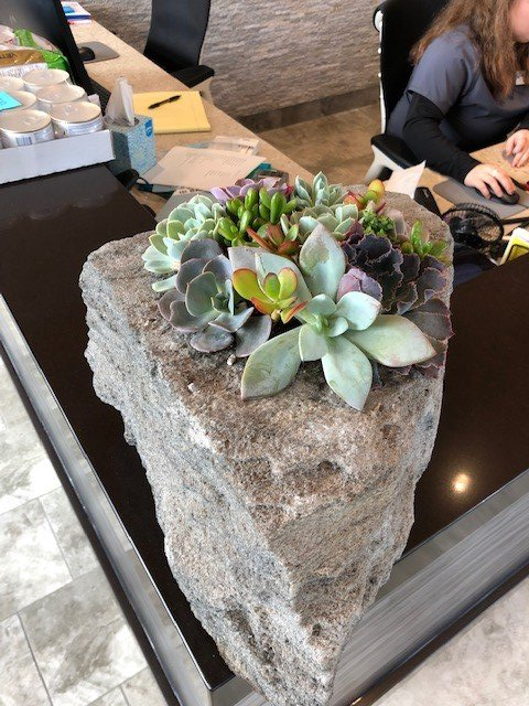 A large rock filled with succulents sits on a counter