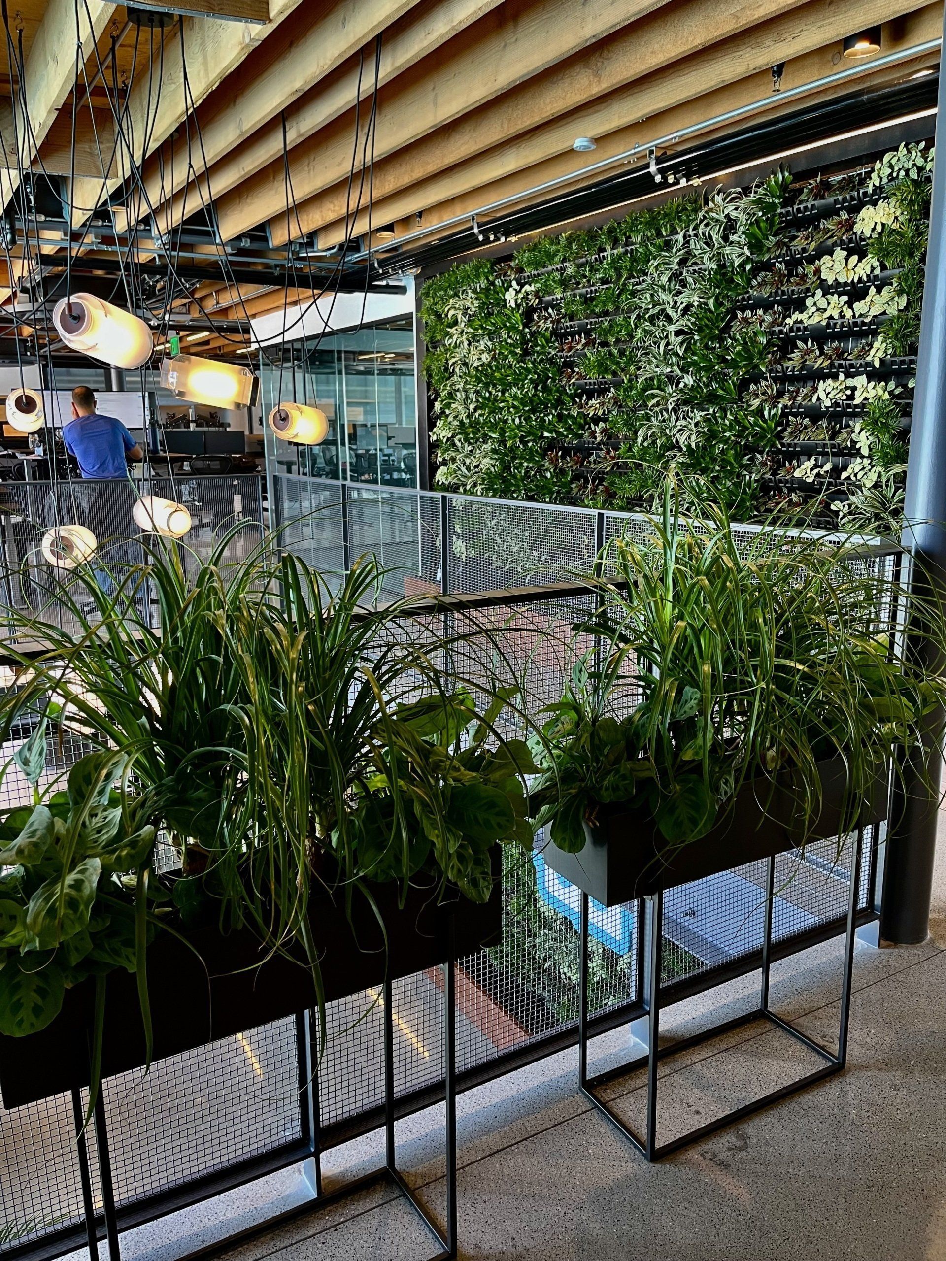 A balcony with lots of plants and a green wall behind it.