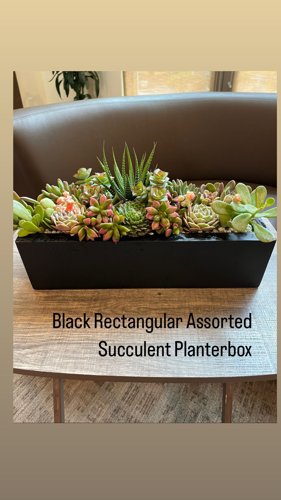 A black rectangular assorted succulent planter box is sitting on a wooden table.
