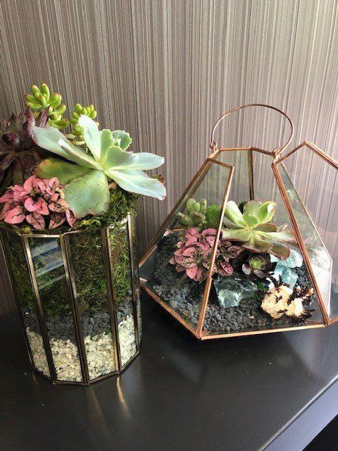 Two terrariums filled with succulents are sitting on a table.