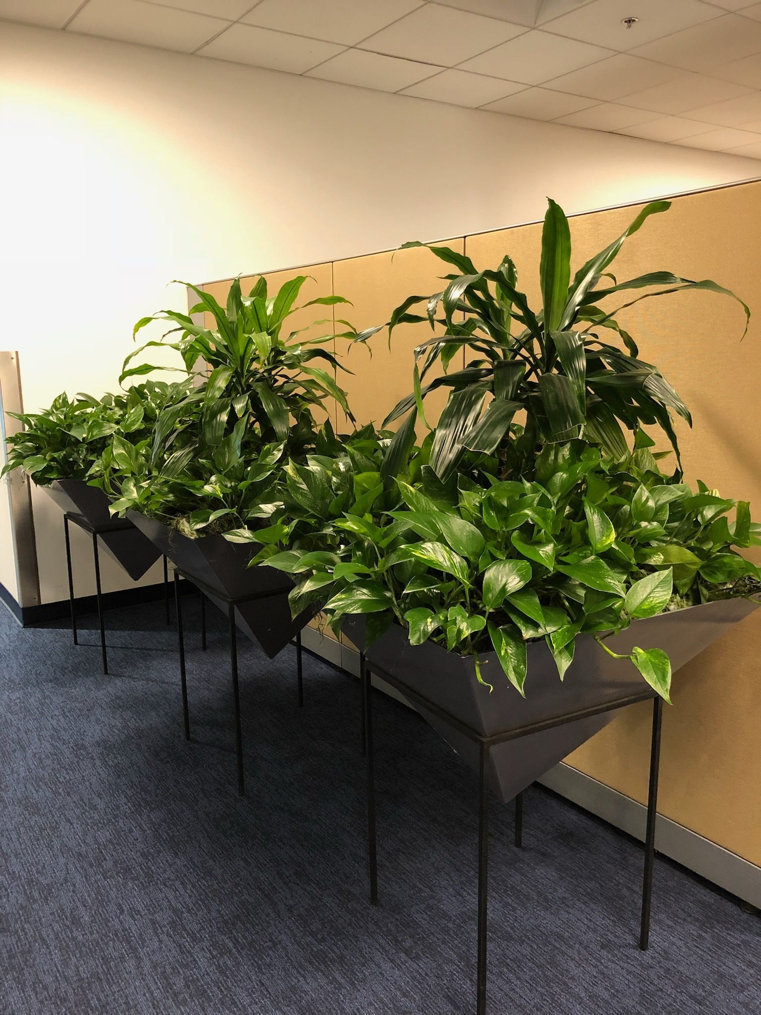 A large vase filled with lots of flowers and plants