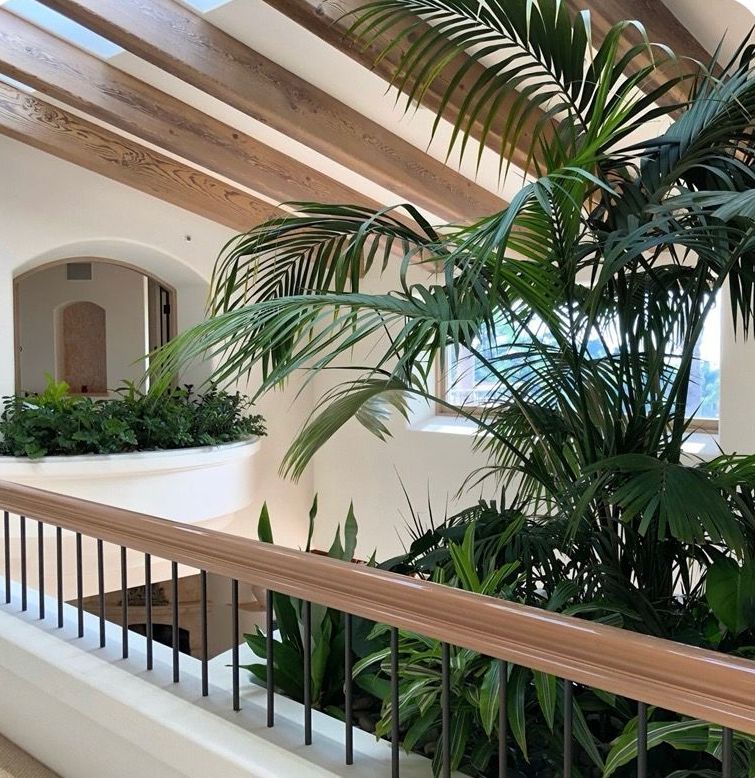 A balcony with palm trees and a railing