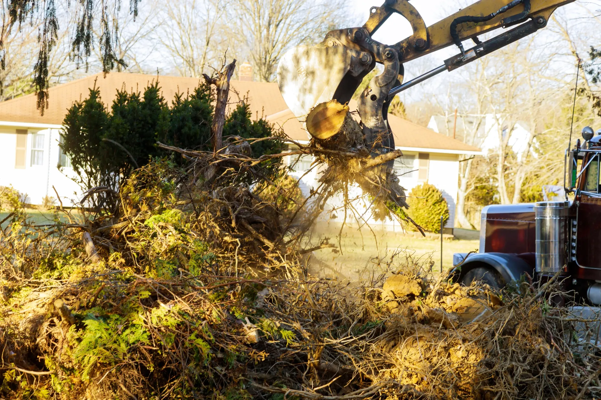 tree service bryn mawr