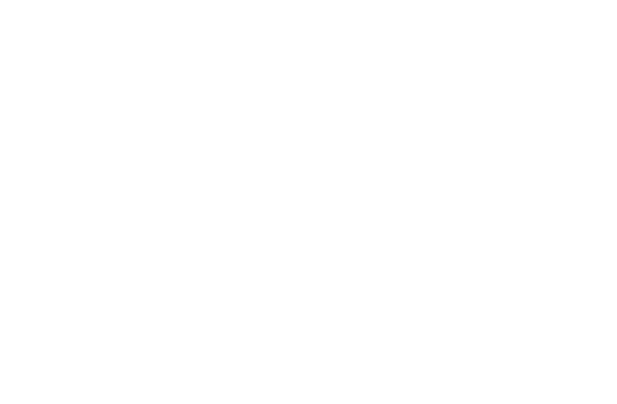 White Sheboygan WIS Icon