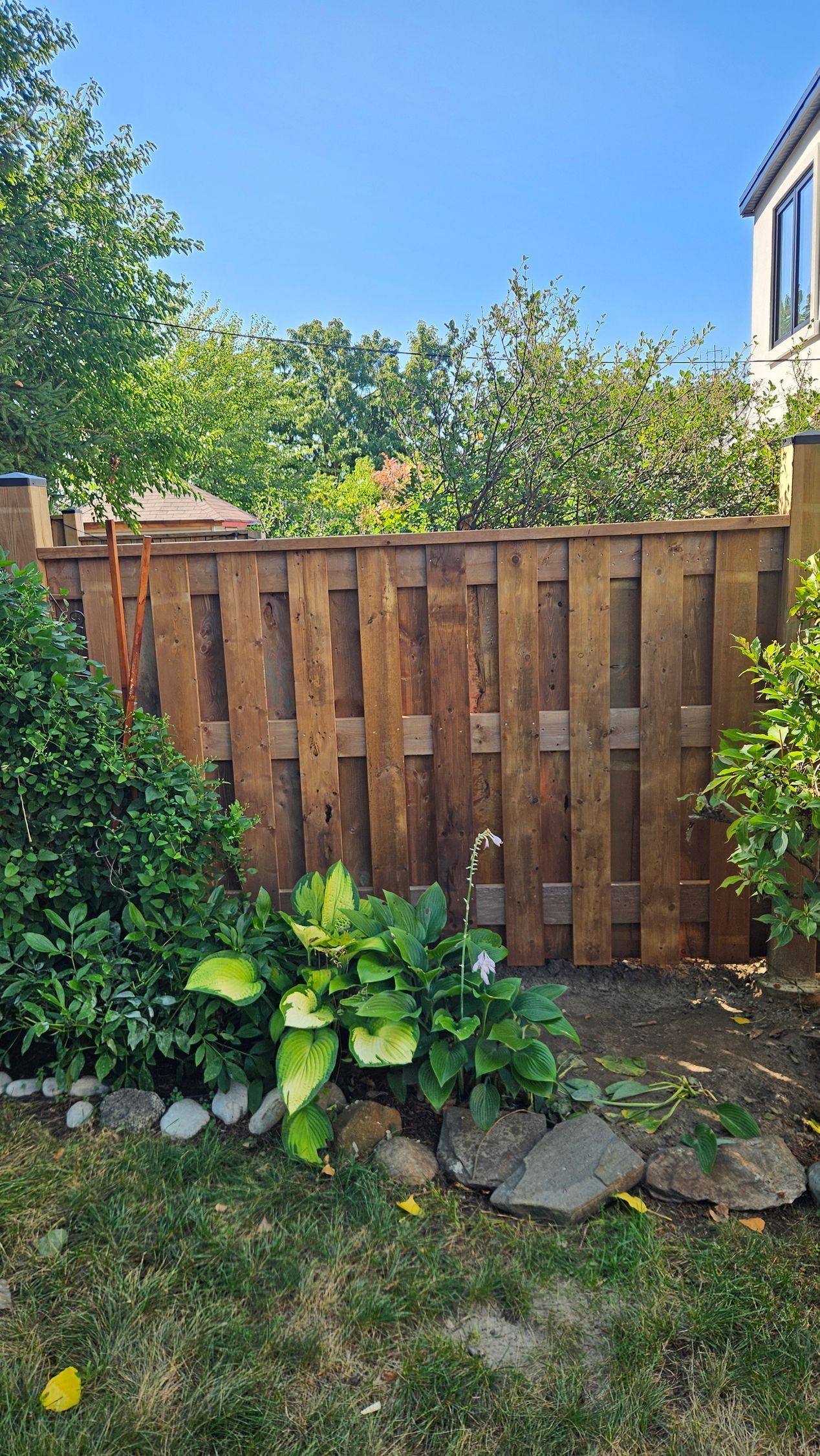 Wooden fence in a garden with green foliage and blue sky.