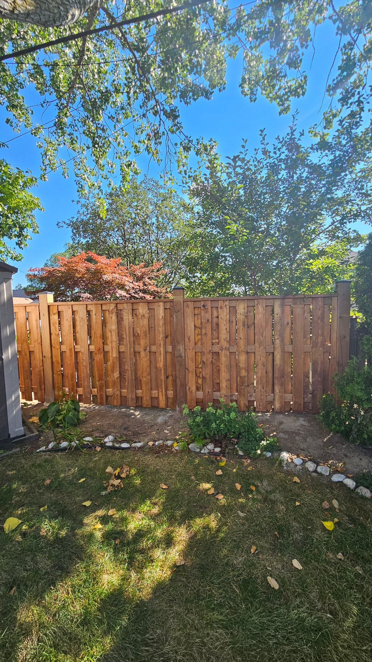 Wooden fence in backyard, stained brown with foliage and blue sky in background.