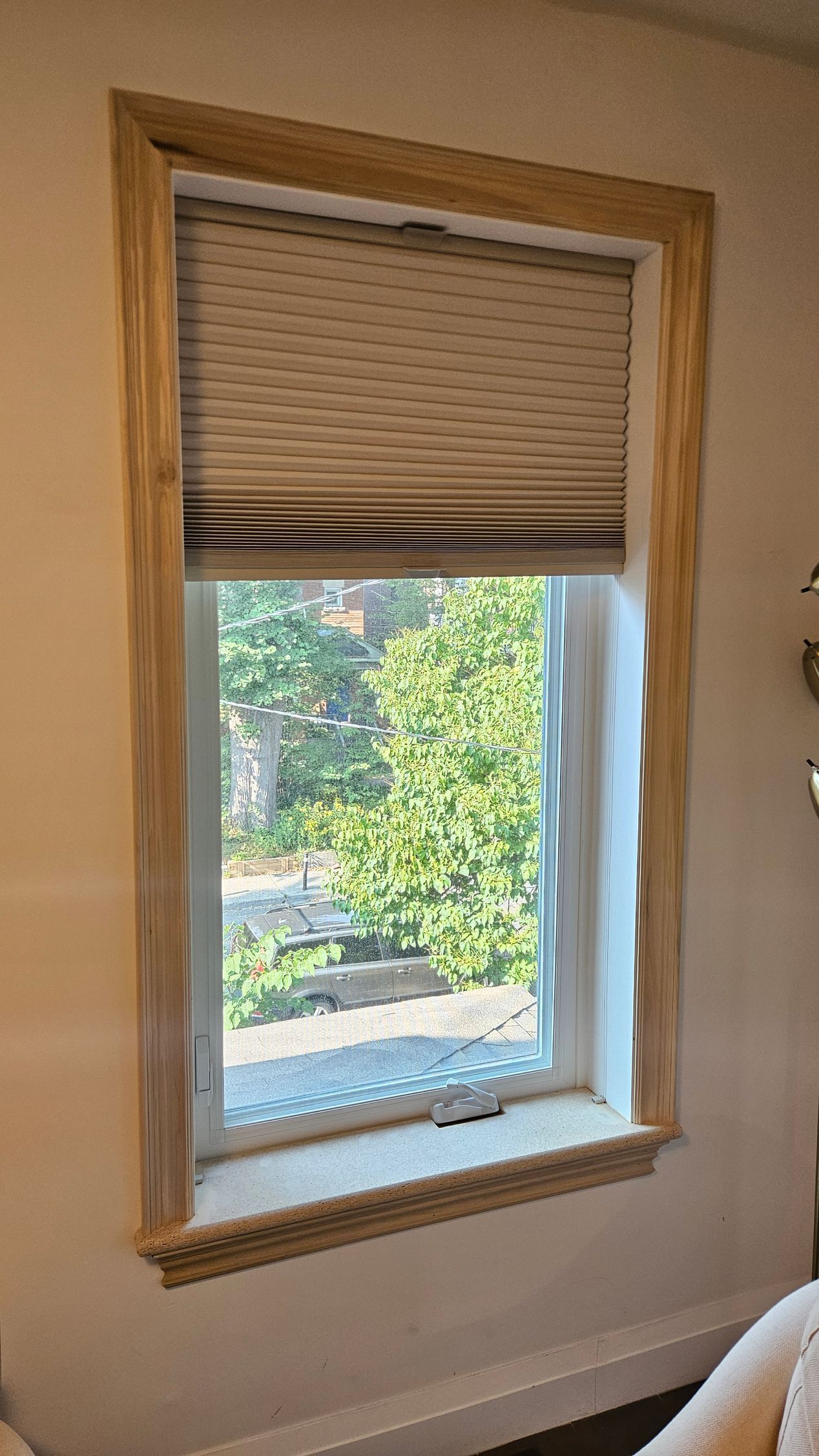 Window with beige shade, light wooden frame, and view of green foliage outside.