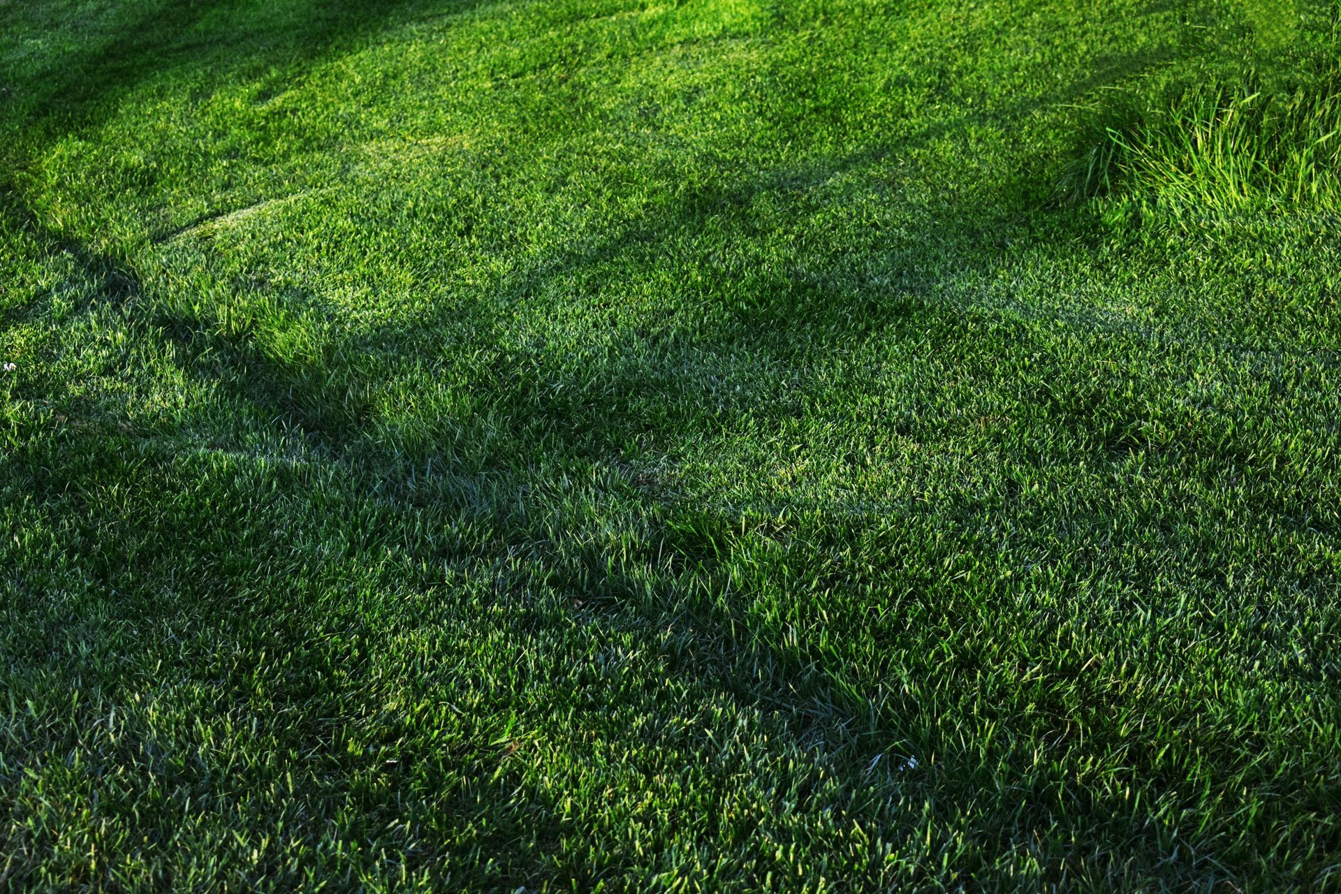 A close up of a high pressure washer spraying water on a concrete surface.