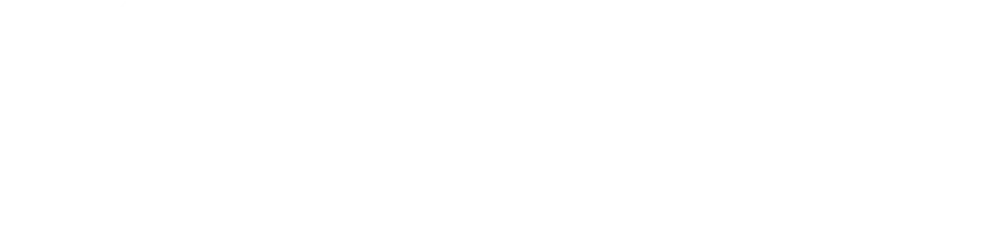 True North Handyman CO white logo