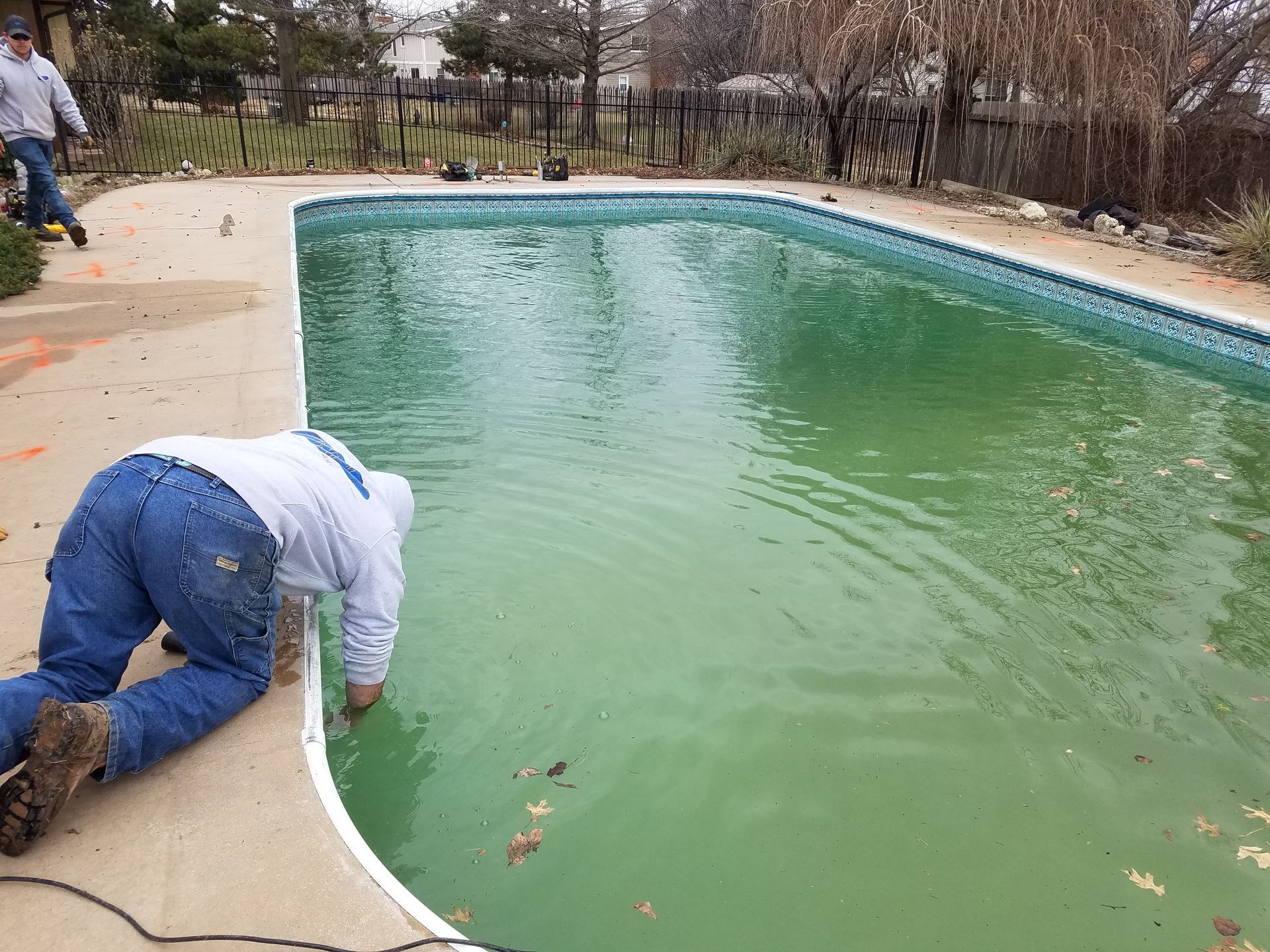 Green Pool — Wichita, KS — Platinum Pools Inc.