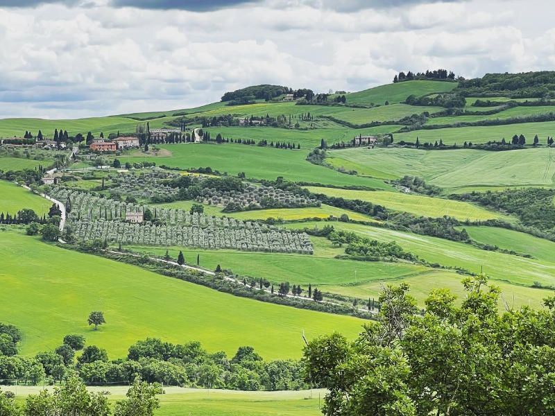 Brunello di Montalcino tour met wijnproeverij bij twee wijnhuizen