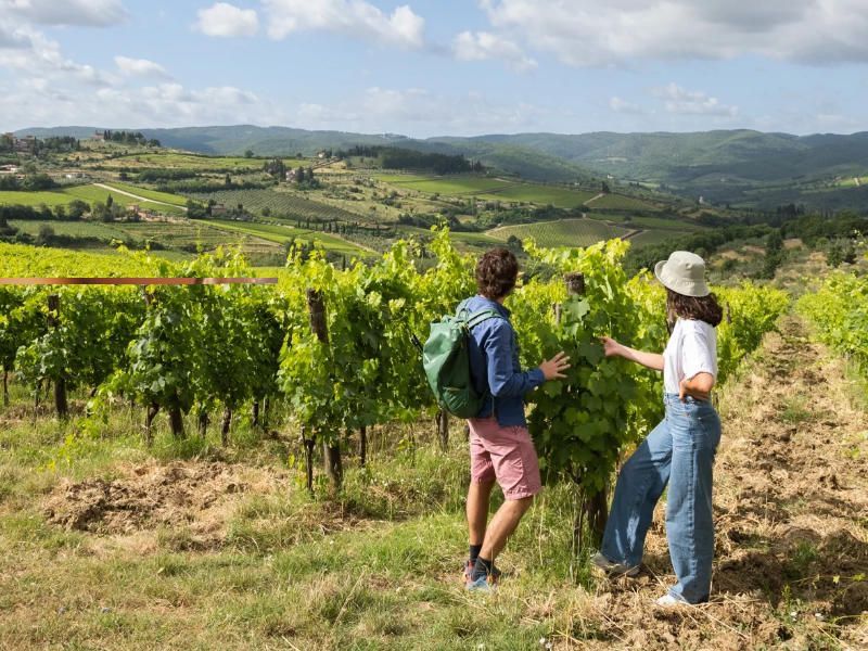 Wijn en wandelen in de Chianti streek