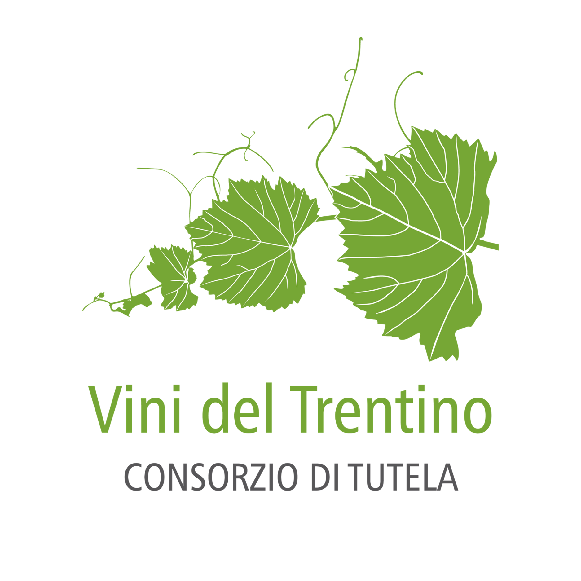 Consorzio Vino del Trentino