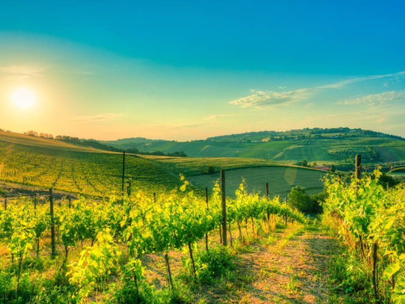 Wijnproeverijen in de buurt van Montepulciano