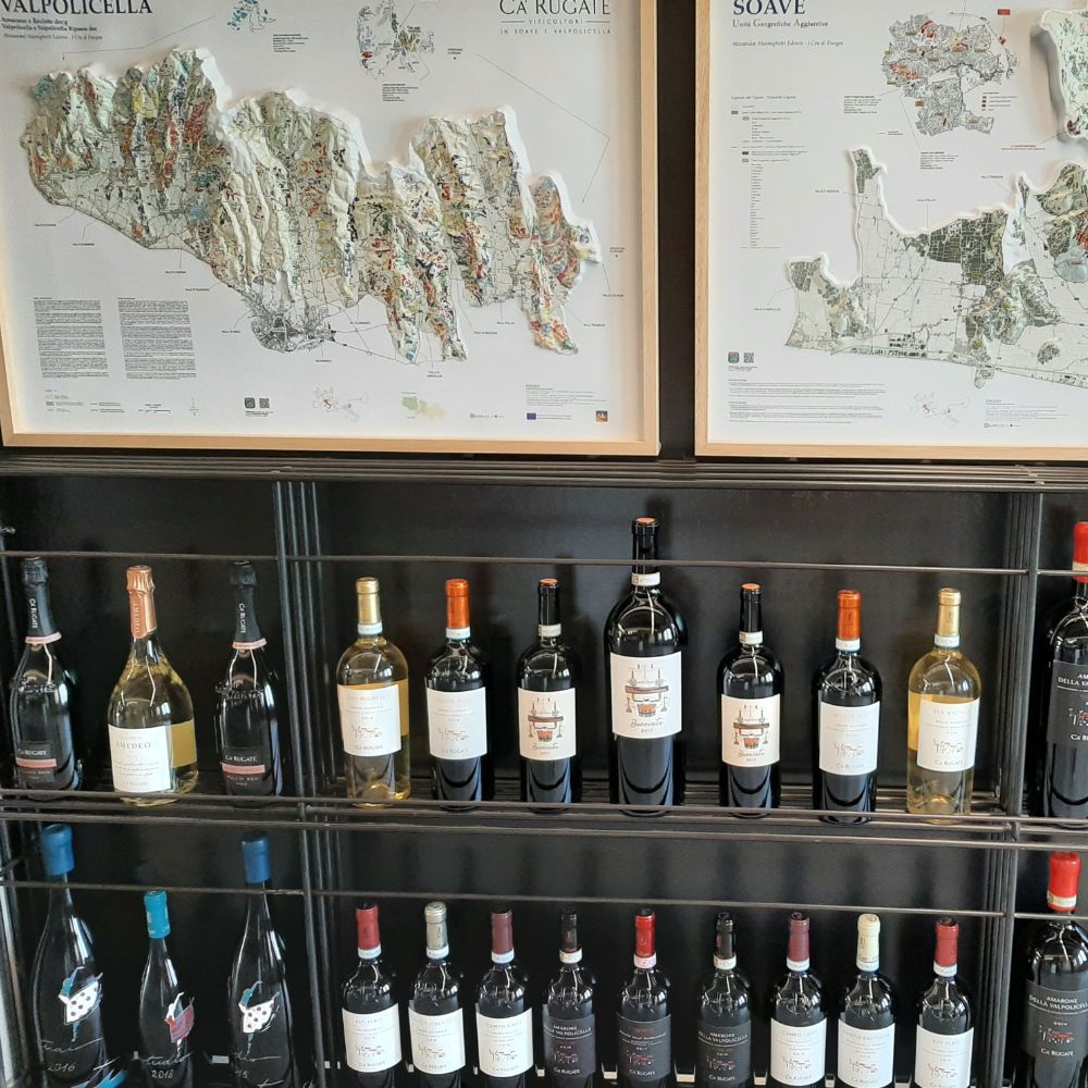 Soave en Valpolicella wijnen proeven bij Ca Rugate