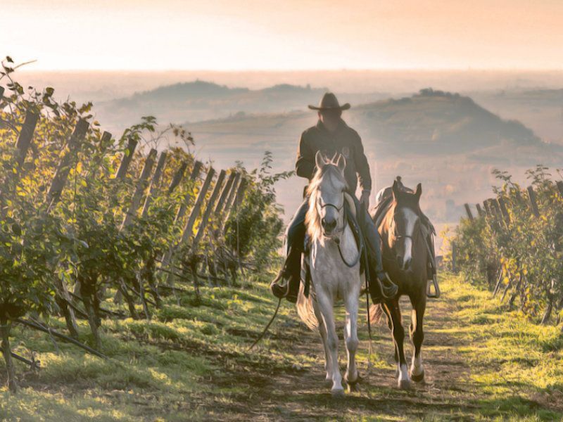 Paardrijden combineren met wijnproeven bij Rocca Sveva in Soave