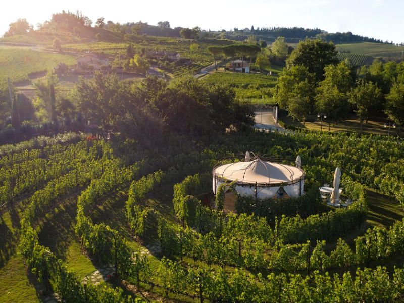 Wijnproeverij in de wijngaarden van Tenuta Torciano bij San Gimignano