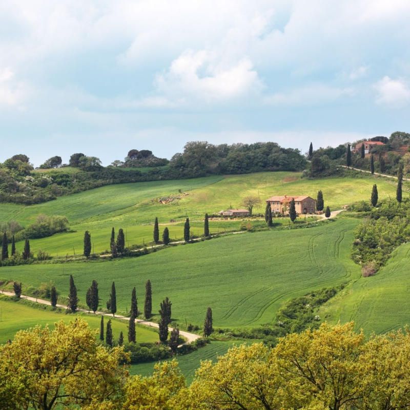 Prachtige en kenmerkende landschappen met uitzicht op de wijngaarden in Val d'Orcia