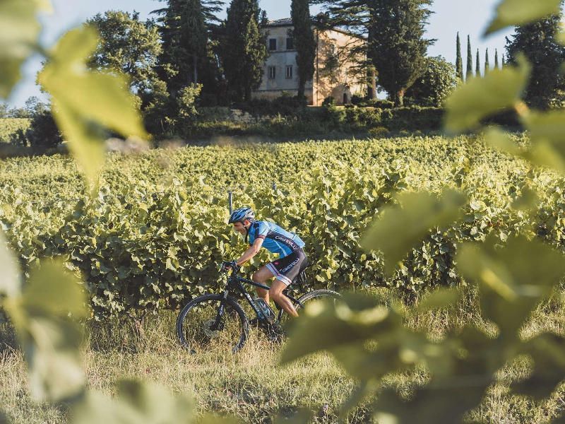 Fietsen in de Montepulciano wijngaarden