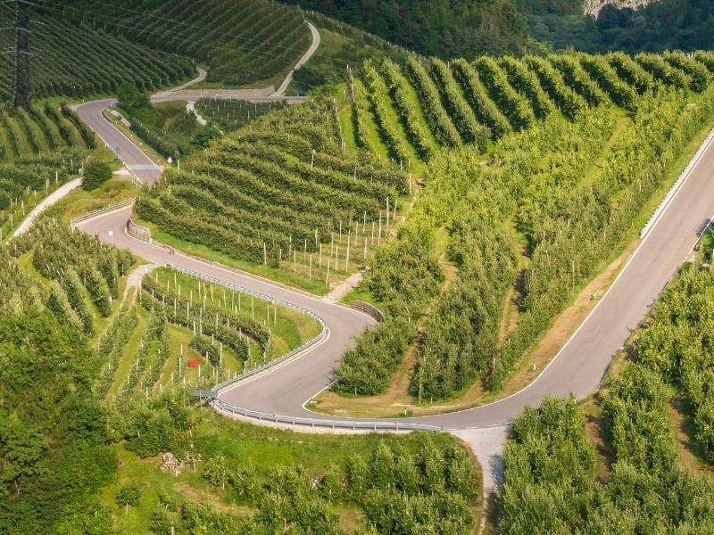 Volop wijntoerisme in wijngebied Trentino - Zuid-Tirol (Alto-Adige)