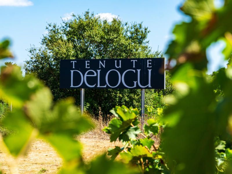 overnachten in wijnhuis Tenute Delogu in Alghero